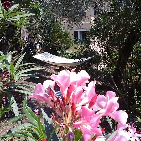 Ududema 3* 돌체도