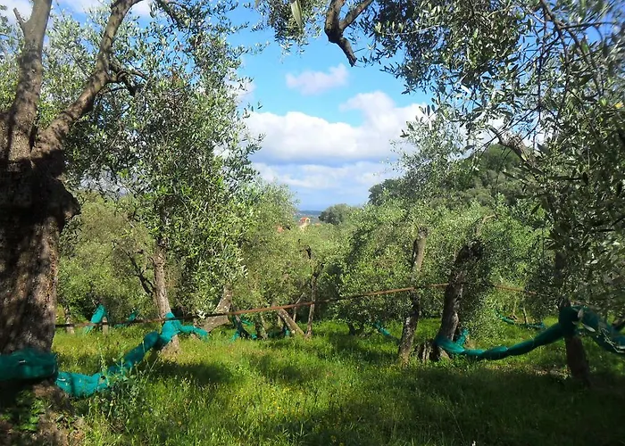 Ududema Bed and Breakfast