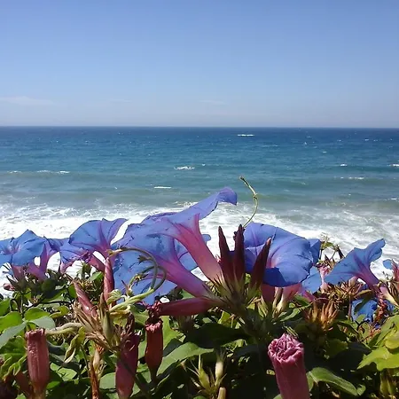 ベッド・アンド・ブレックファスト Ududema 3*