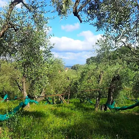 Ududemà 3*