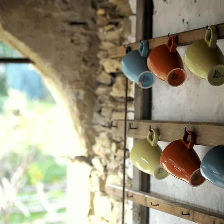 Ududema 3* ドルチェード