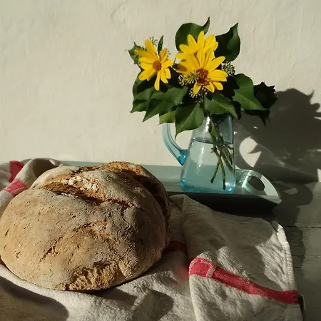 Ududema ドルチェード