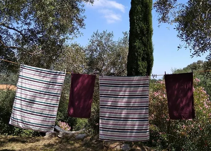 Ududema Bed and breakfast 3*